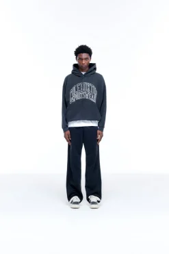 SPORTSWEAR ARC HOODIE Hoodies