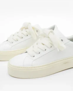 Best THE WILSON SNEAKER Footwear